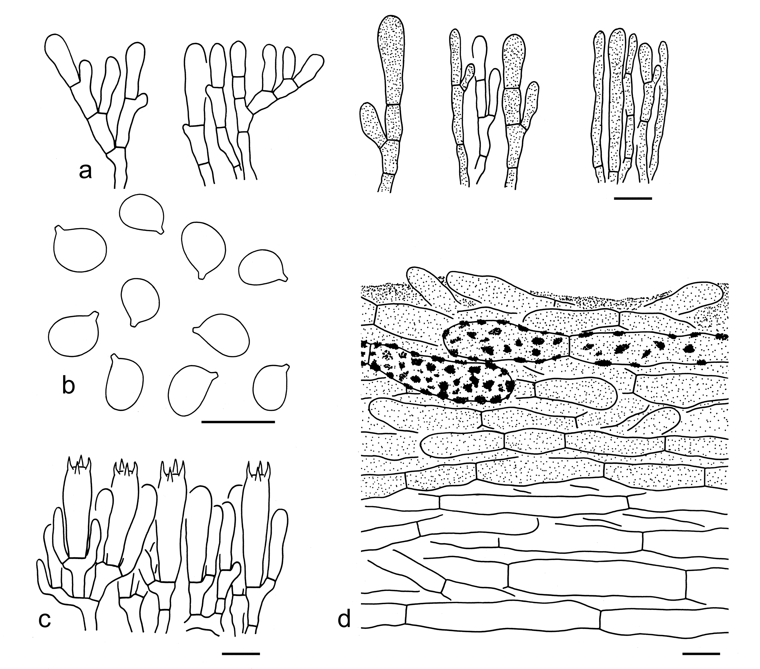 Figure 55